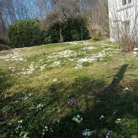 Maison Chaleureuse Proche De Gerardmer Hébergement de vacances