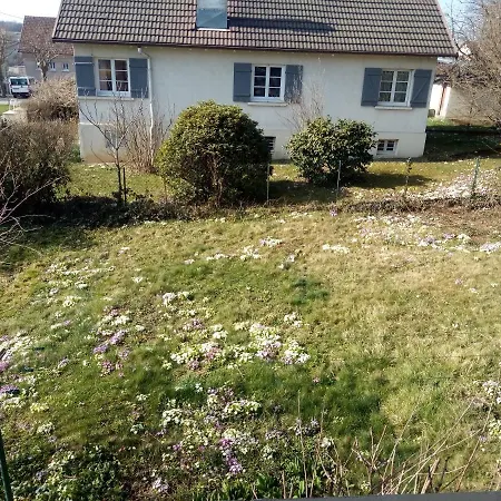 Maison Chaleureuse Proche De Gerardmer *