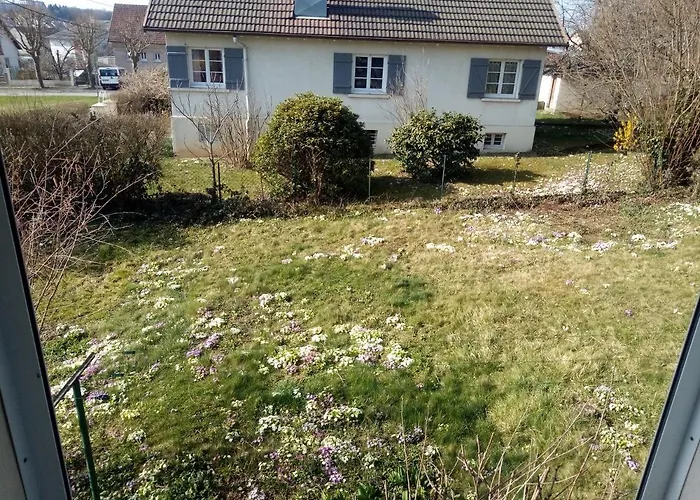 Maison Chaleureuse Proche De Gerardmer *